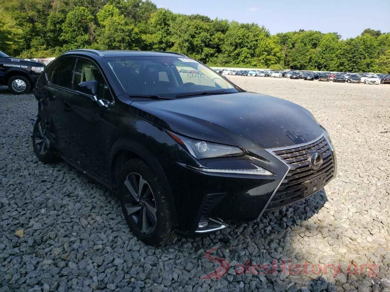 JTJBARBZ2J2173706 2018 LEXUS NX