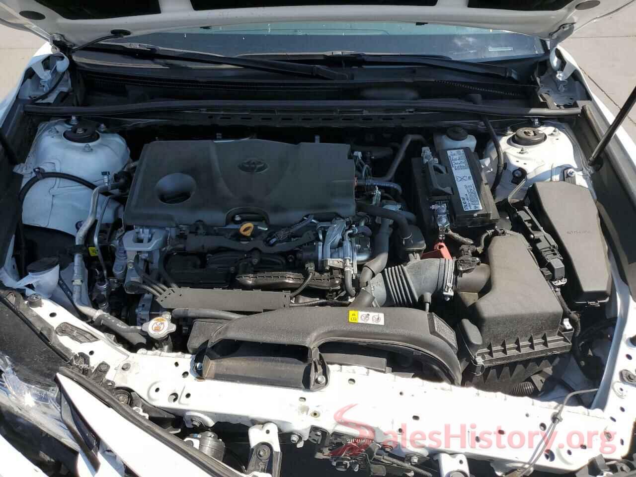 4T1B11HK0KU856620 2019 TOYOTA CAMRY