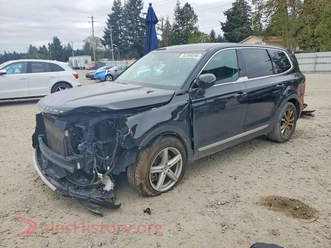 5XYP2DHCXLG074068 2020 KIA TELLURIDE