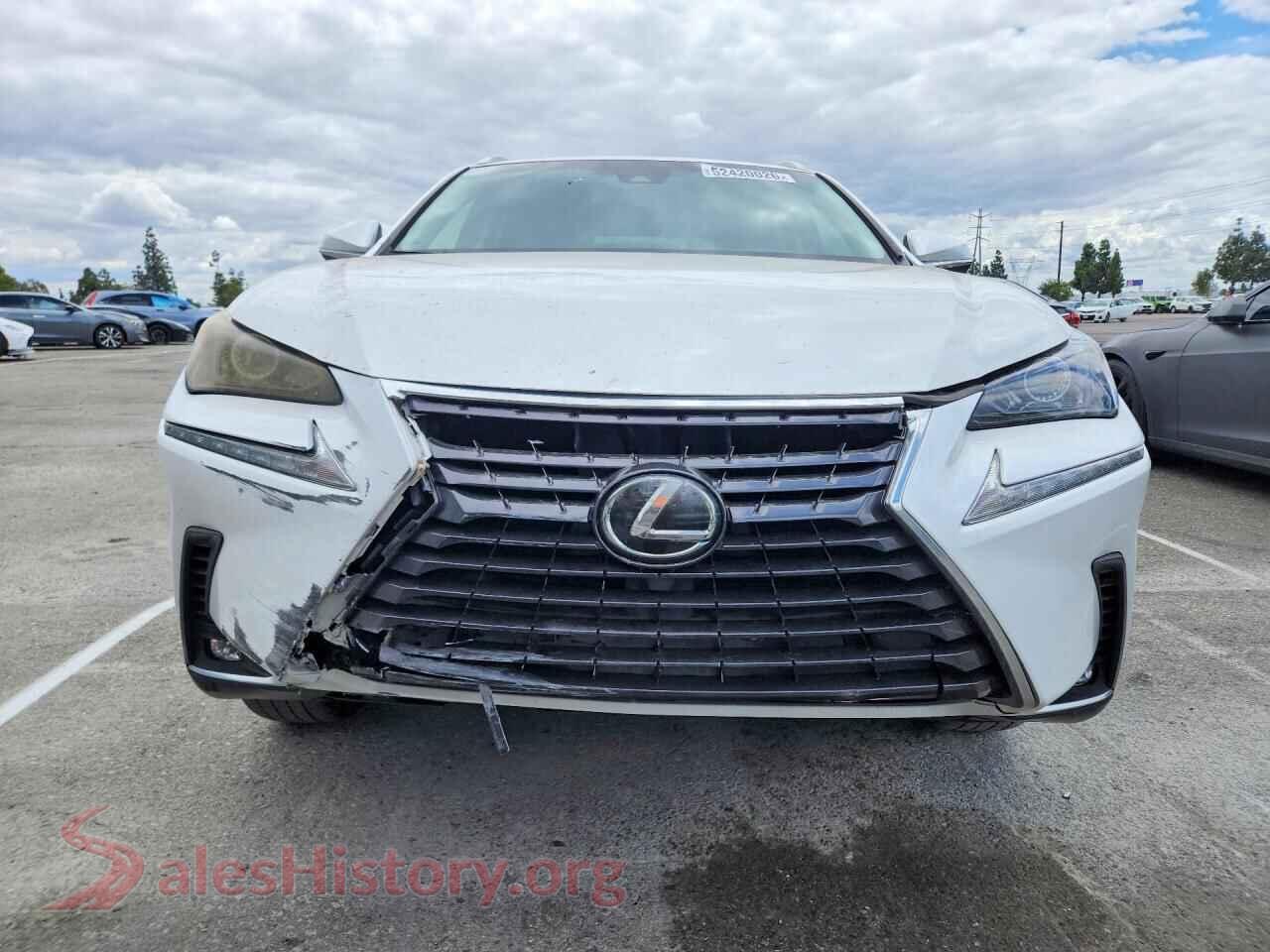2019 LEXUS NX VIN JTJYARBZ3K2141035, rear view