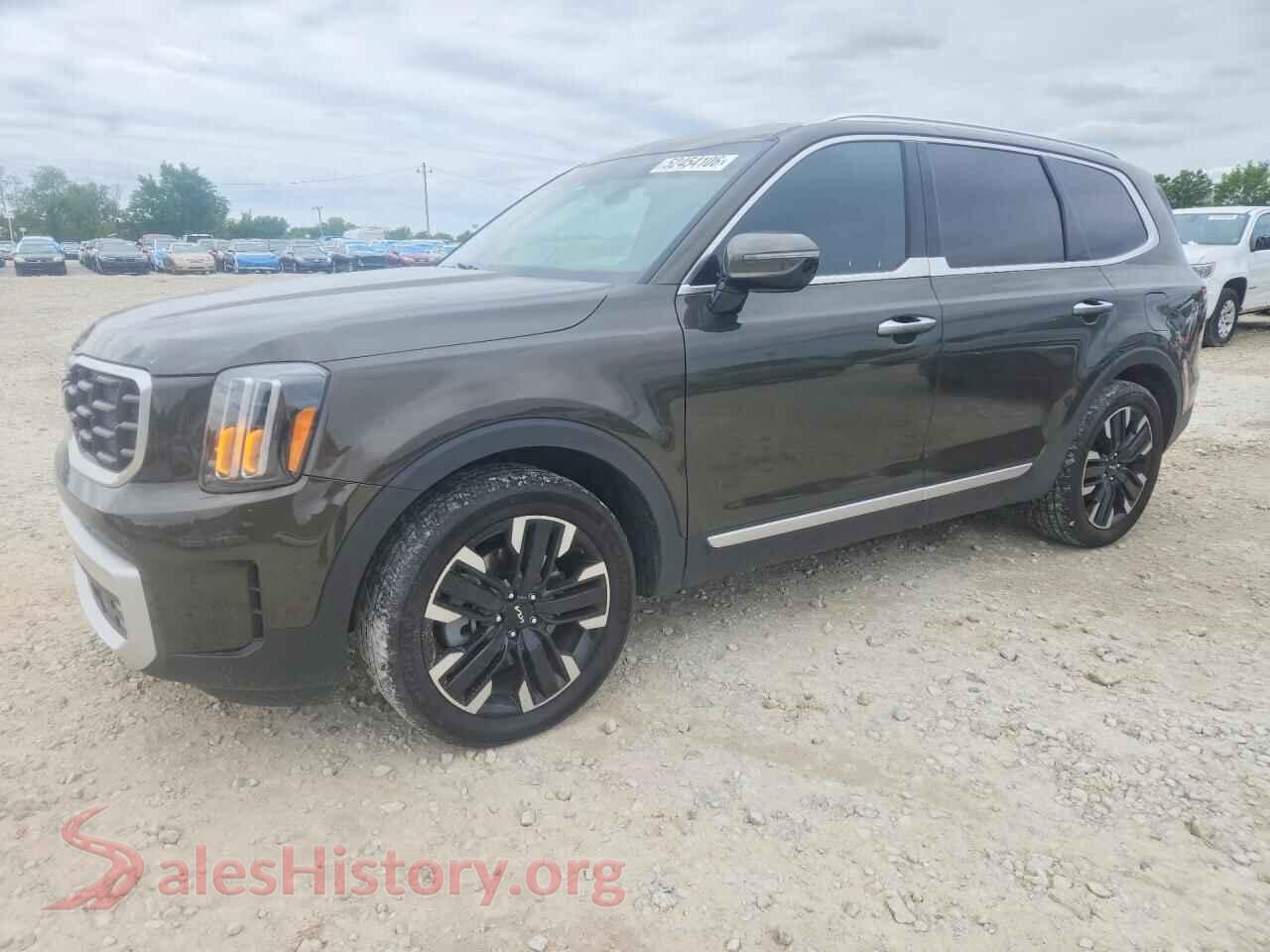5XYP5DGC1RG530637 2024 KIA TELLURIDE