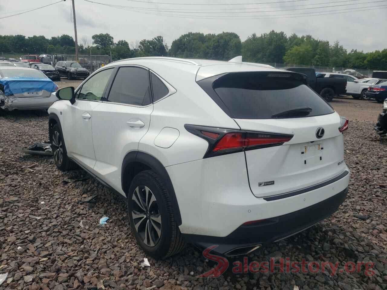 JTJSARDZ6M2263278 2021 LEXUS NX