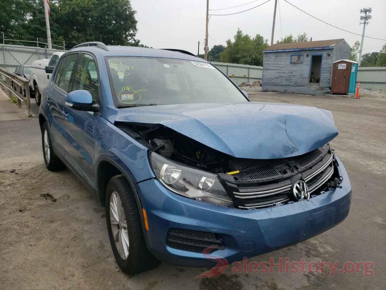 WVGBV7AX9HK043259 2017 VOLKSWAGEN TIGUAN