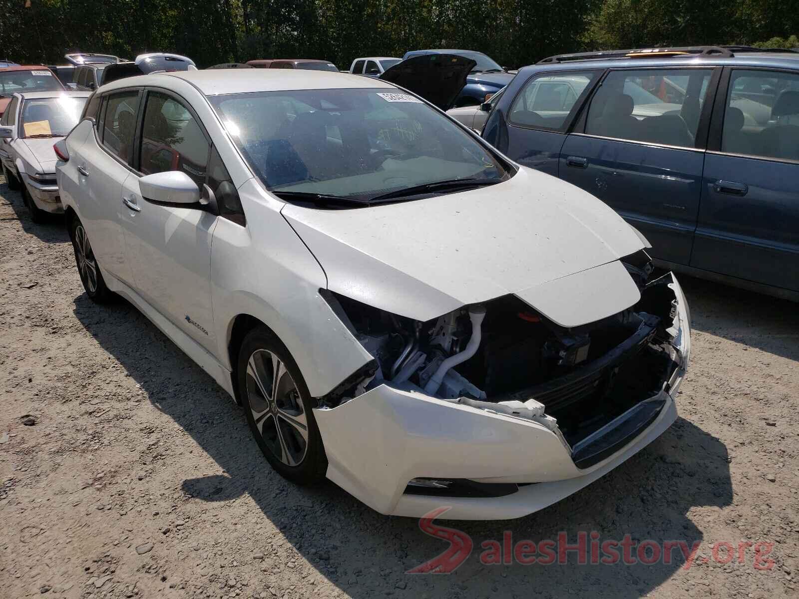 1N4AZ1CP6KC317605 2019 NISSAN LEAF