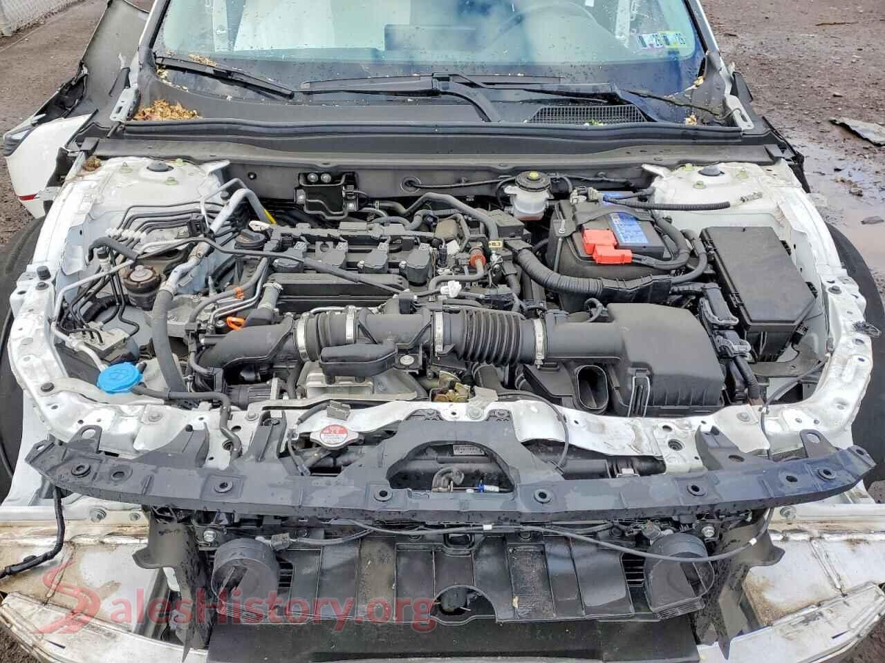 2021 HONDA ACCORD VIN 1HGCV1F55MA121602, VIN plate