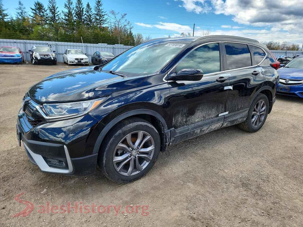2020 HONDA CRV VIN 2HKRW2H47LH219179, auction photo
