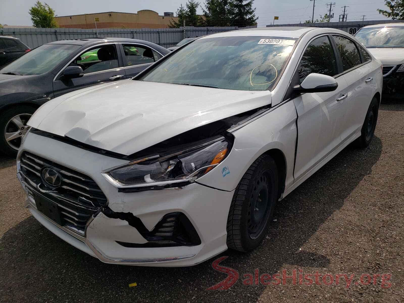 5NPE34AF2KH801221 2019 HYUNDAI SONATA