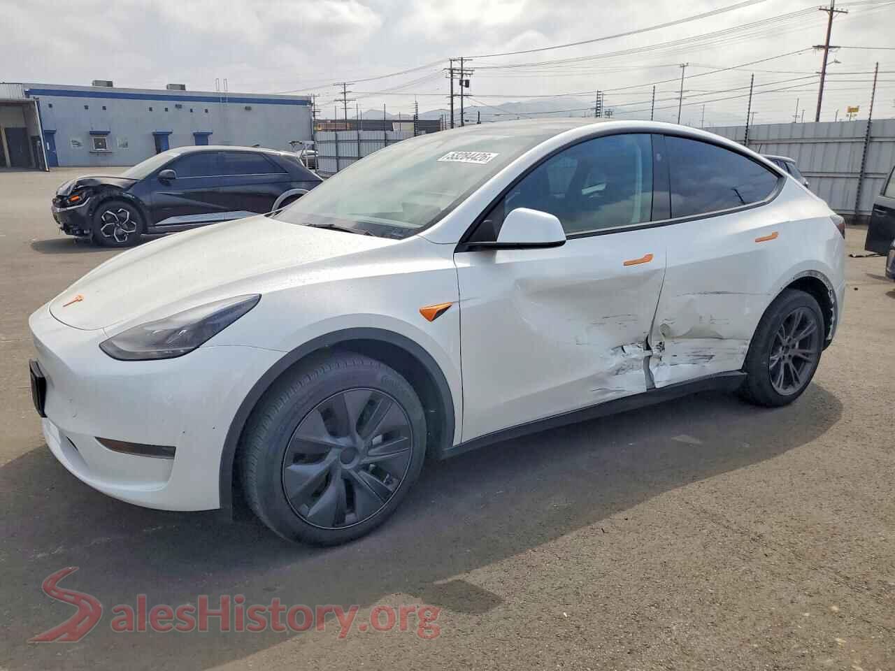 2025 TESLA MODEL Y VIN 7SAYGDED9SF282468, auction photo