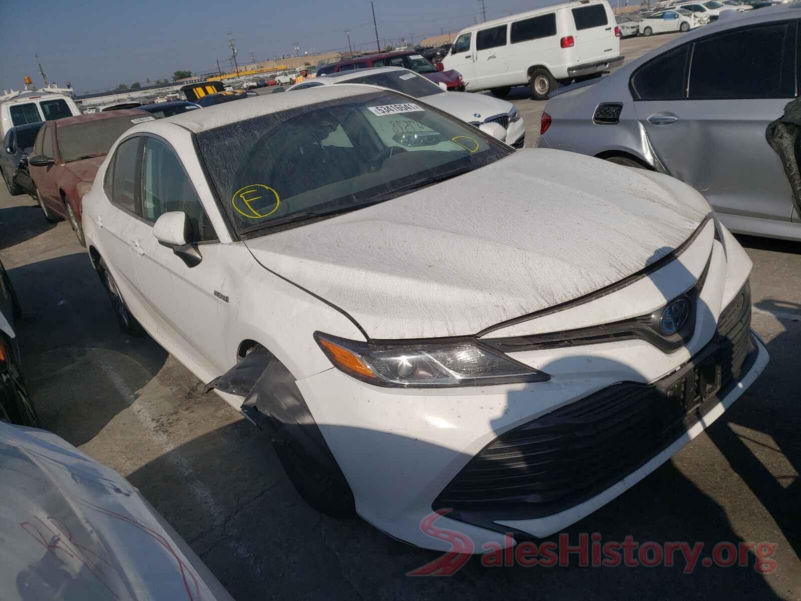 4T1B31HK1KU513339 2019 TOYOTA CAMRY