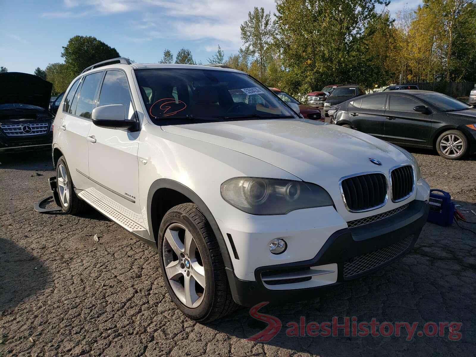 5UXFE43549L260468 2009 BMW X5