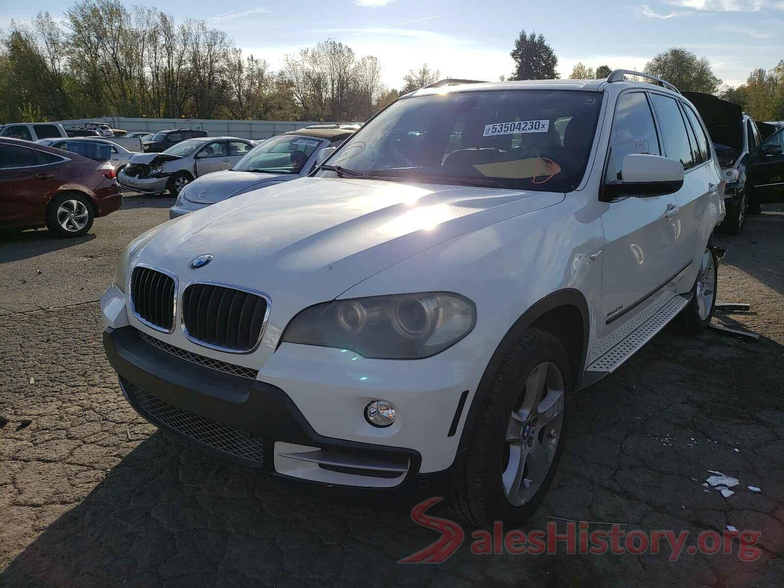 5UXFE43549L260468 2009 BMW X5