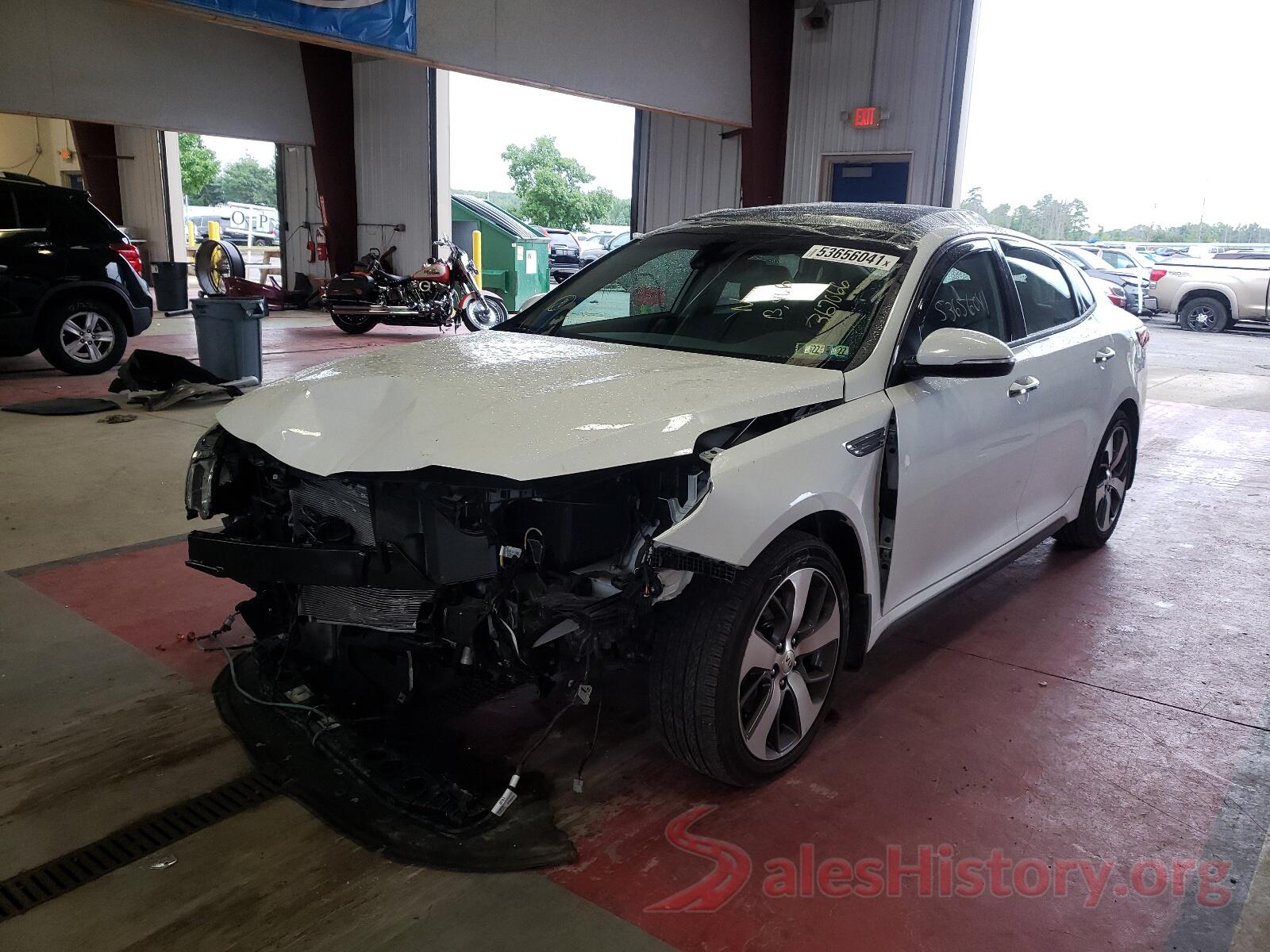 5XXGT4L34KG367066 2019 KIA OPTIMA