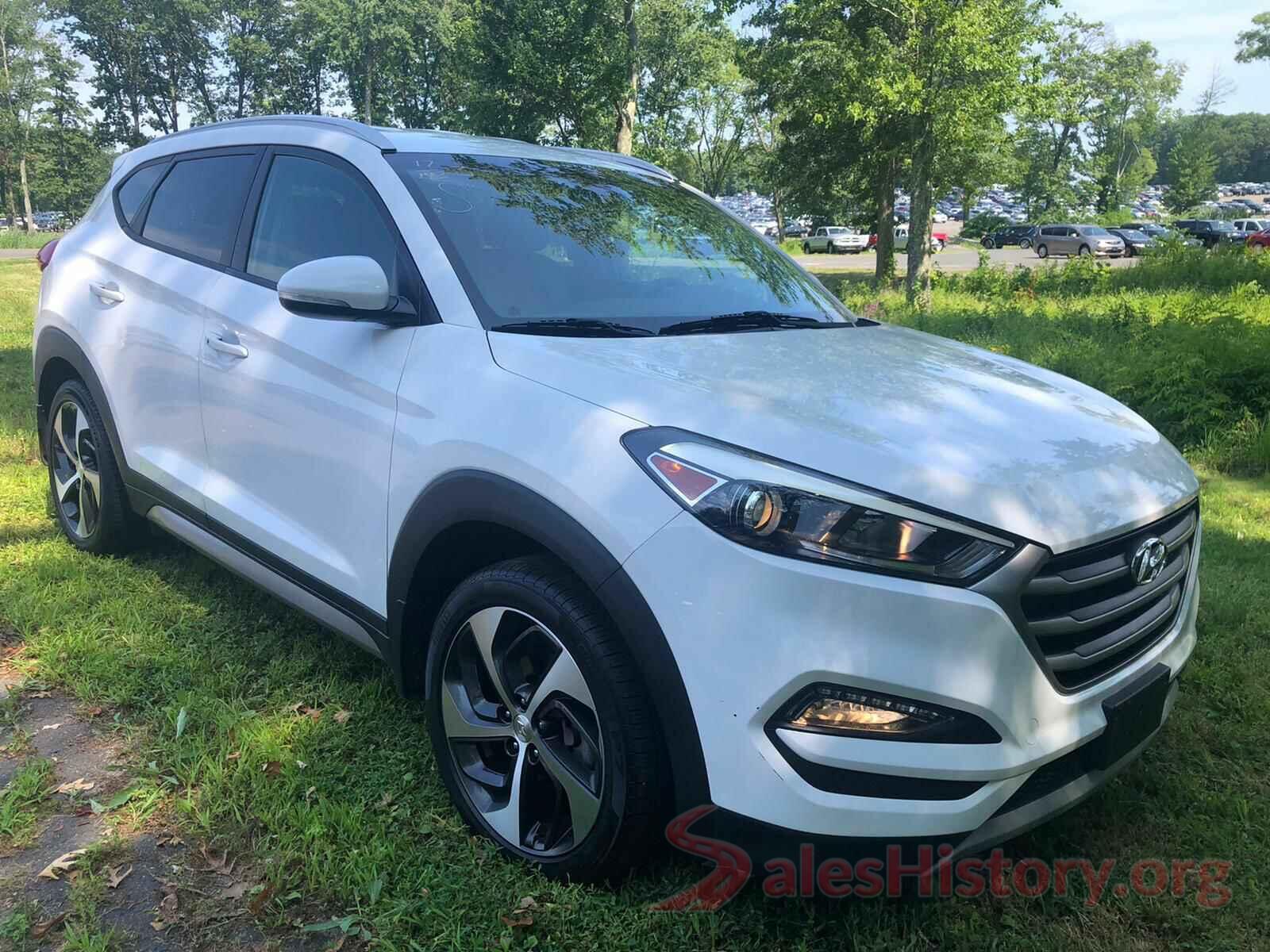 KM8J3CA20HU276059 2017 HYUNDAI TUCSON