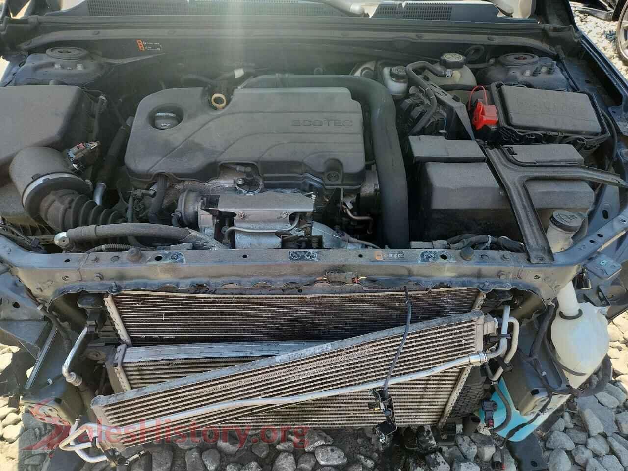 2019 CHEVROLET MALIBU VIN 1G1ZD5ST4KF142490, VIN plate
