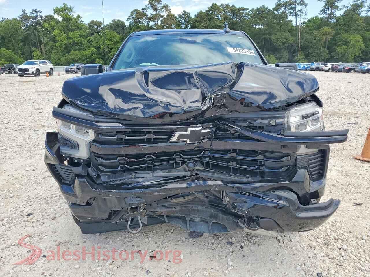 2024 CHEVROLET SILVERADO VIN 2GCUDEED2R1159635, rear view