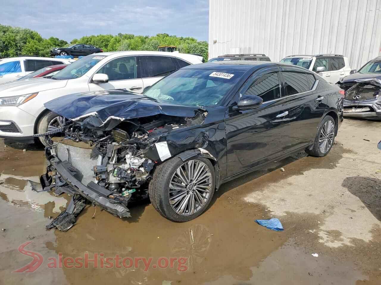 2024 NISSAN ALTIMA VIN 1N4BL4EW6RN391665, auction photo