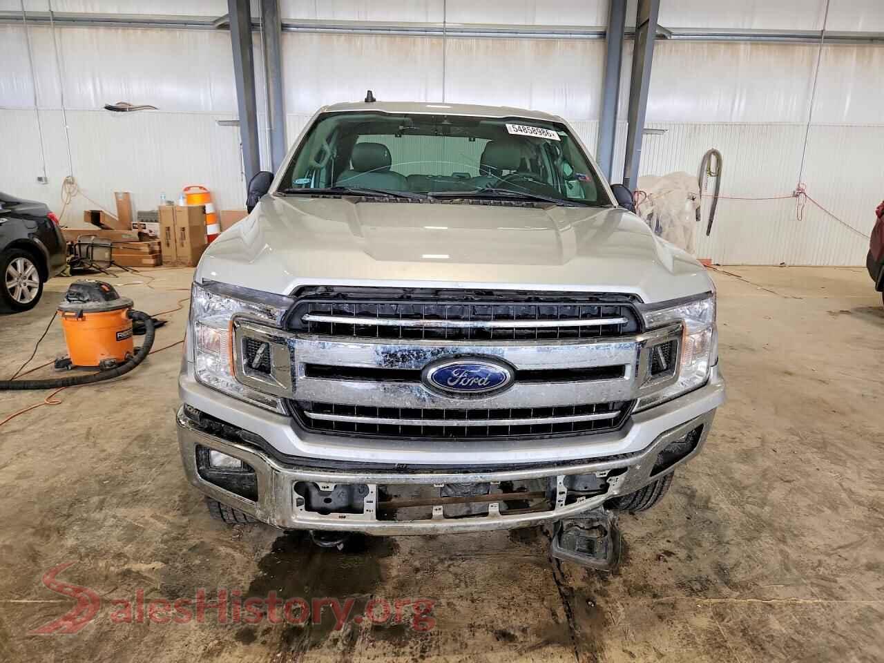 2019 FORD F150 VIN 1FTFX1E55KKD50831, rear view