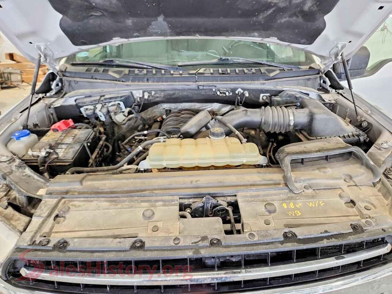 2019 FORD F150 VIN 1FTFX1E55KKD50831, VIN plate