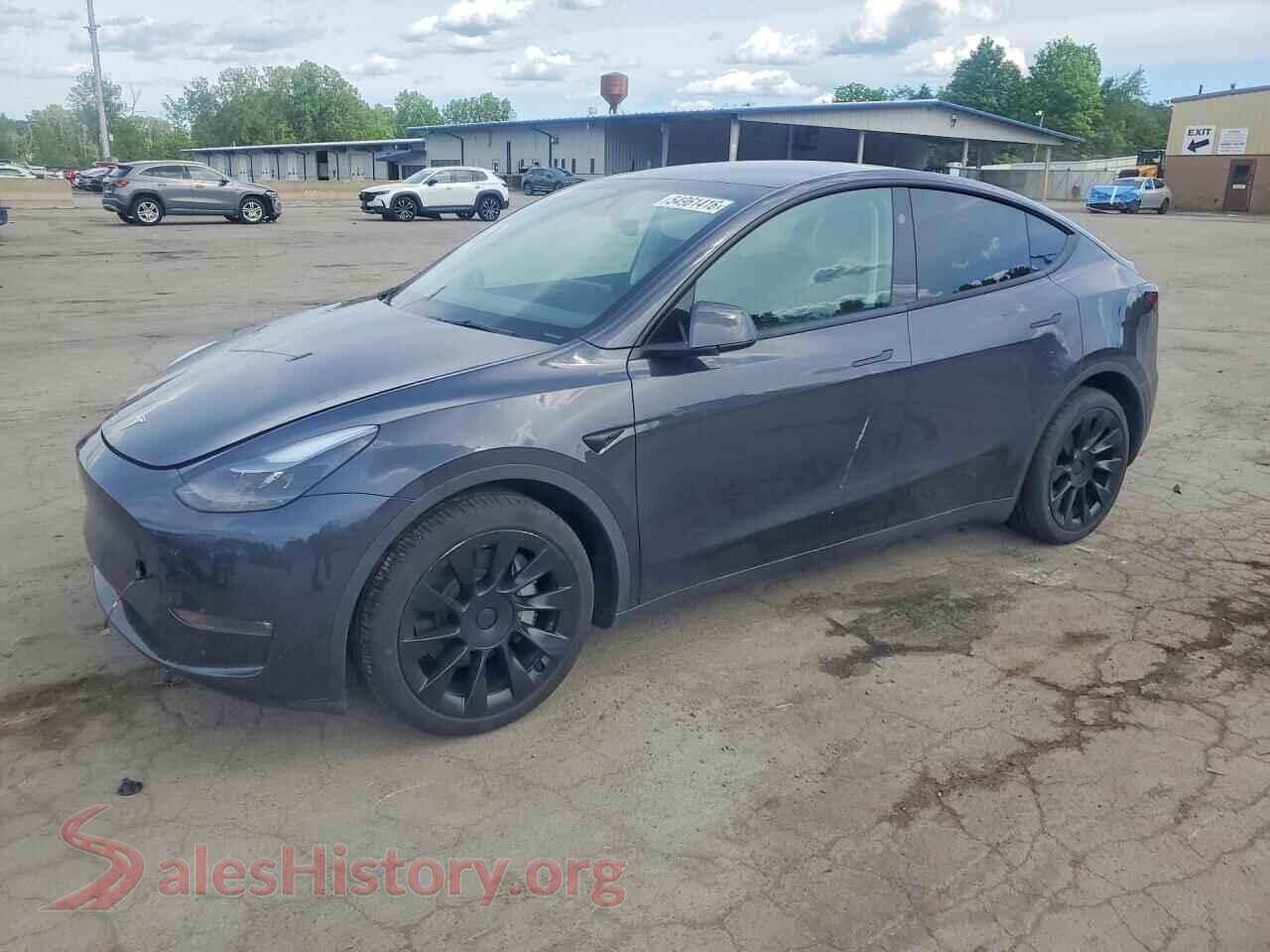 2025 TESLA MODEL Y VIN 7SAYGDEE5SF305334, auction photo