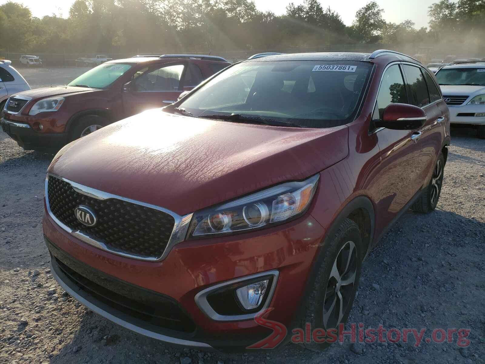 5XYPH4A51GG159221 2016 KIA SORENTO