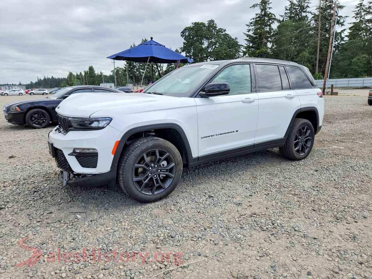 2025 JEEP CHEROKEE VIN 1C4RJHBG5S8795757, auction photo