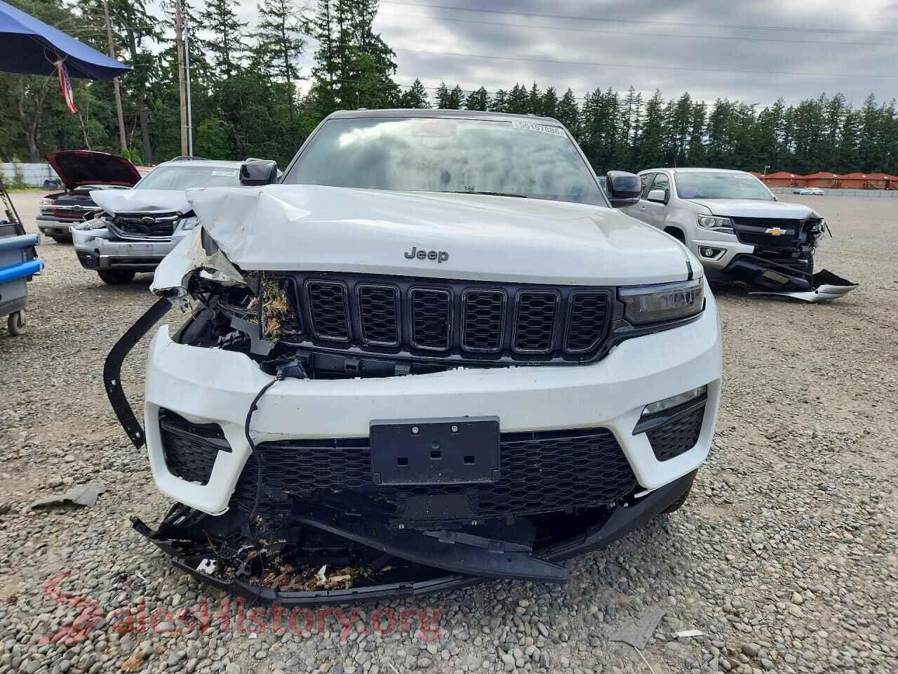 2025 JEEP CHEROKEE VIN 1C4RJHBG5S8795757, rear view