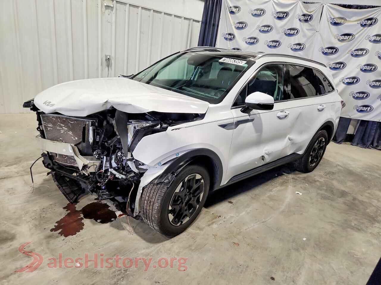 5XYRL4JC8RG297122 2024 KIA SORENTO