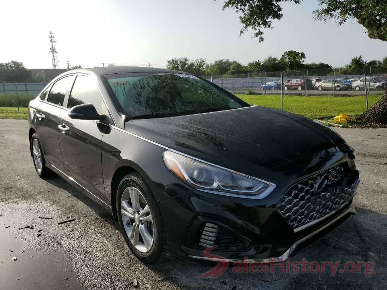 5NPE34AF6KH790336 2019 HYUNDAI SONATA