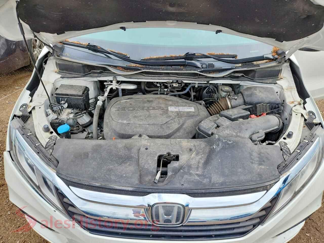 2019 HONDA ODYSSEY VIN 5FNRL6H76KB072599, VIN plate