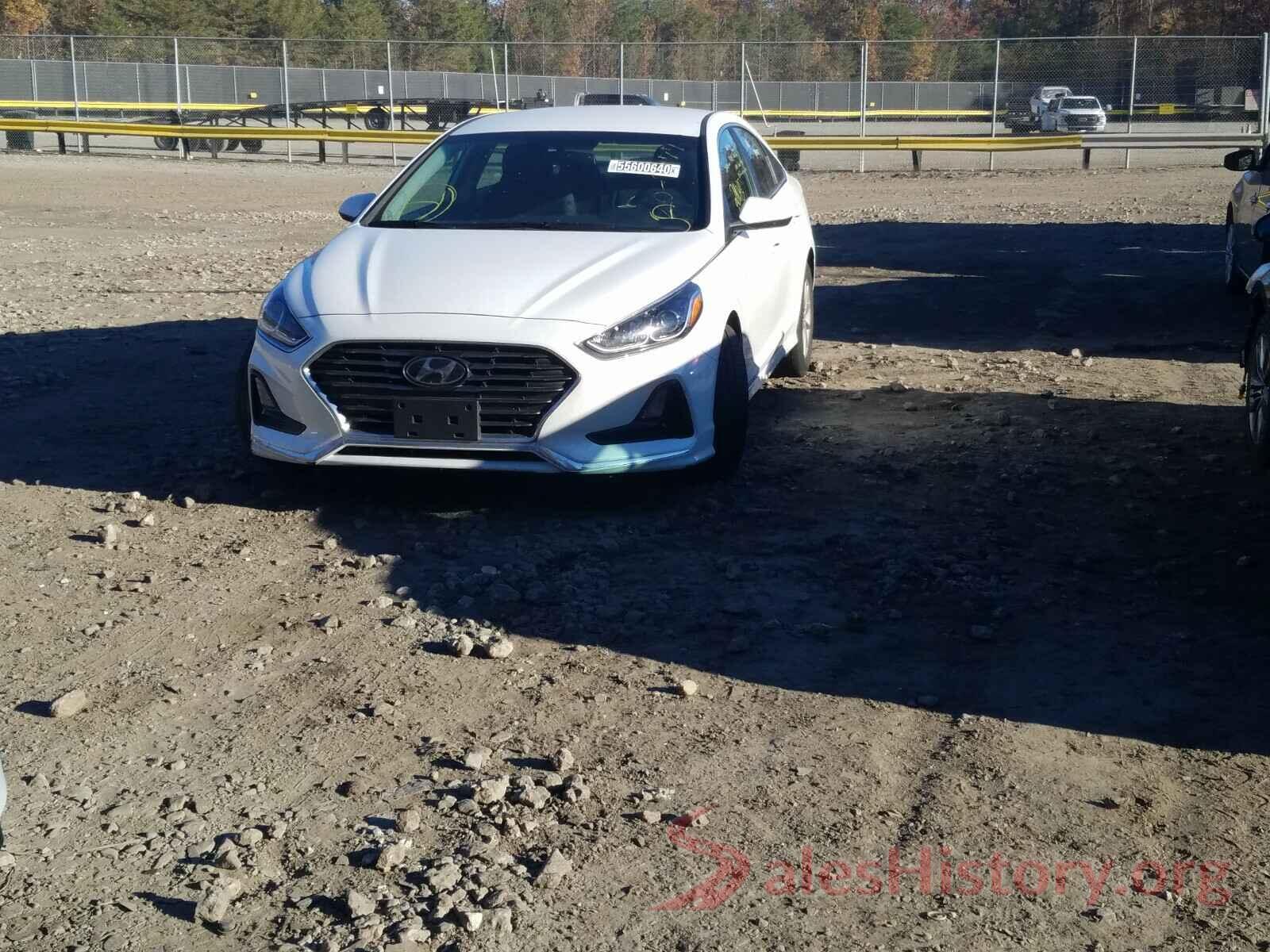 5NPE24AF6KH775046 2019 HYUNDAI SONATA