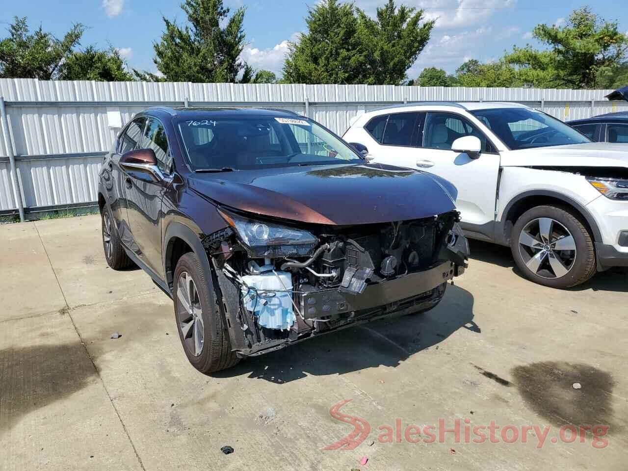 JTJBARBZ6K2189702 2019 LEXUS NX