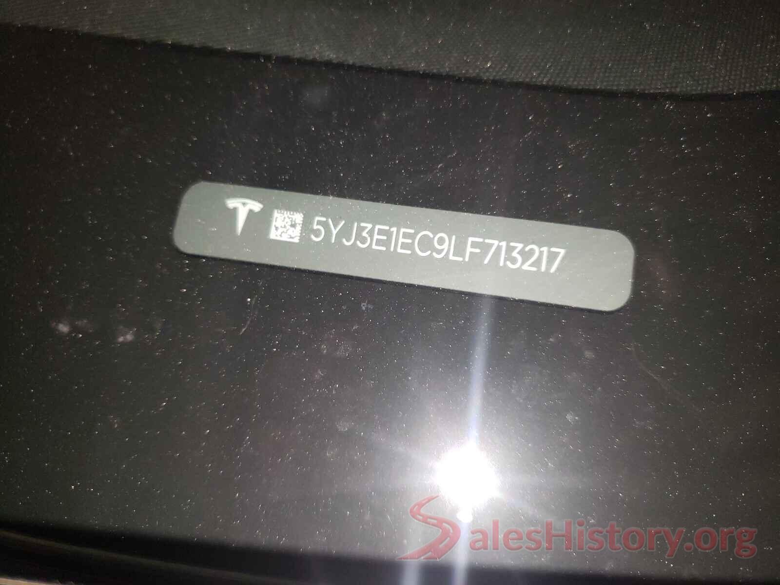 5YJ3E1EC9LF713217 2020 TESLA MODEL 3