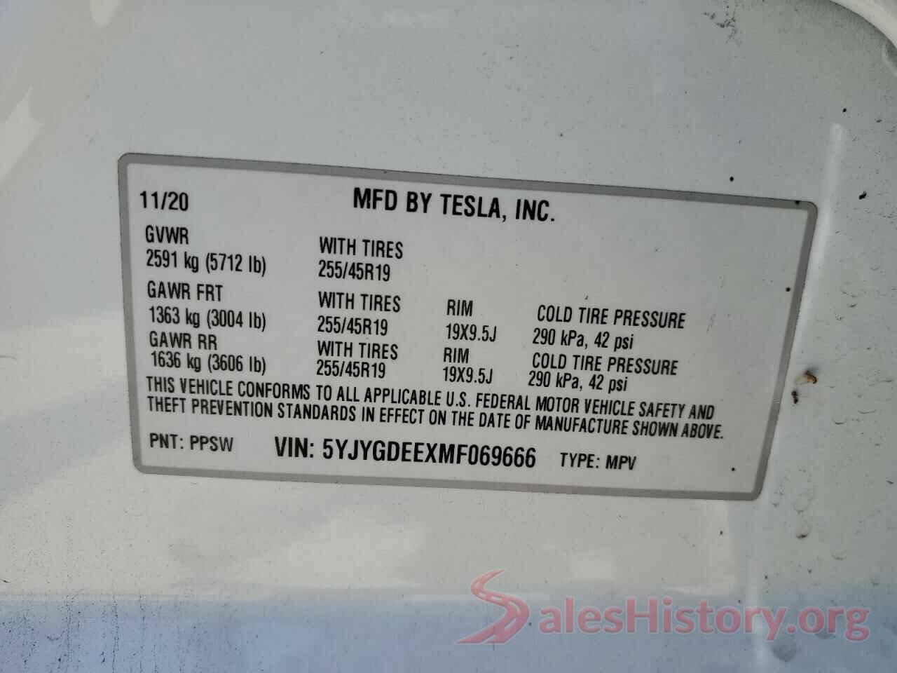 5YJYGDEEXMF069666 2021 TESLA MODEL Y