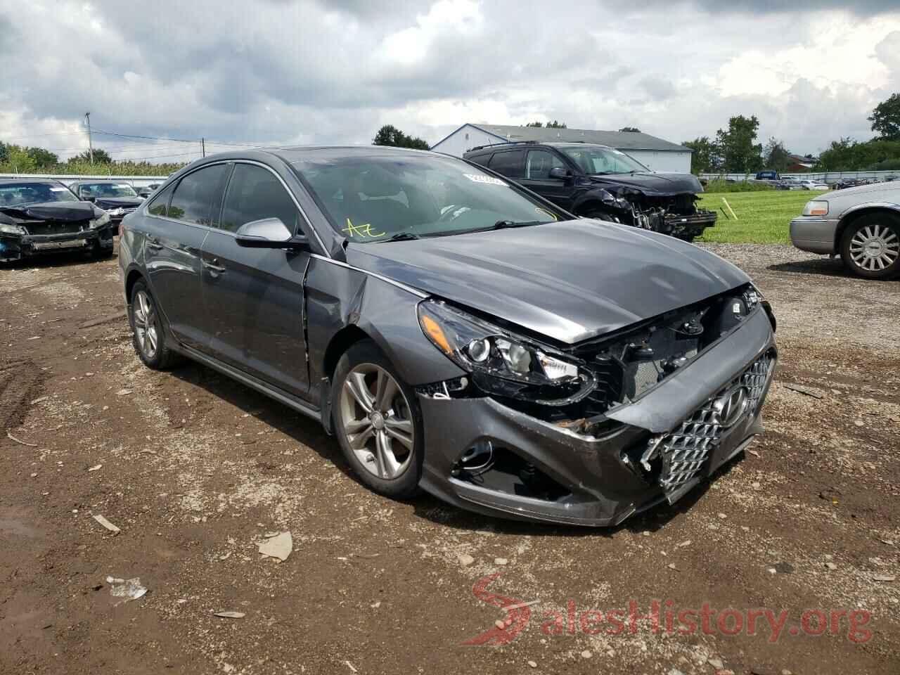 5NPE34AF0KH810175 2019 HYUNDAI SONATA