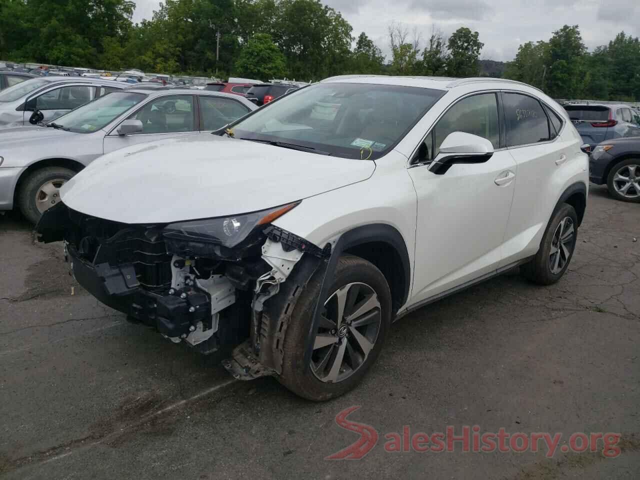 JTJBARBZ8K2183383 2019 LEXUS NX