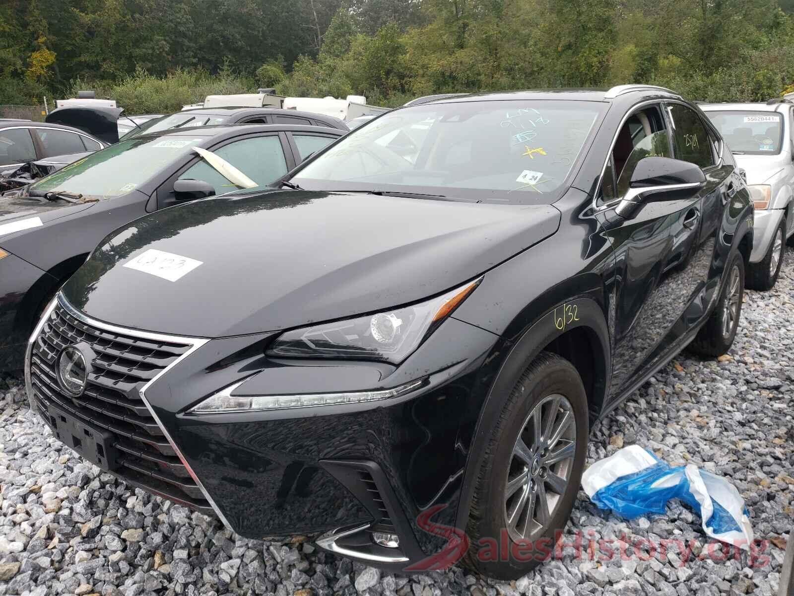 JTJBARBZ5K2212886 2019 LEXUS NX