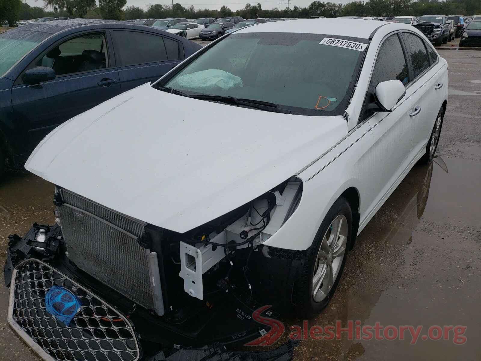 5NPE34AF2KH802966 2019 HYUNDAI SONATA