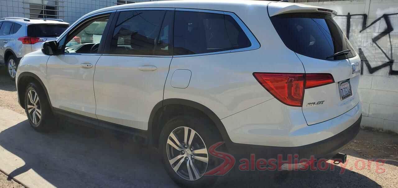 5FNYF5H51GB034796 2016 HONDA PILOT