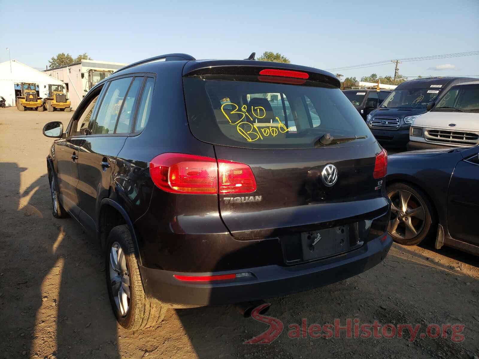 WVGBV7AX9HW510494 2017 VOLKSWAGEN TIGUAN