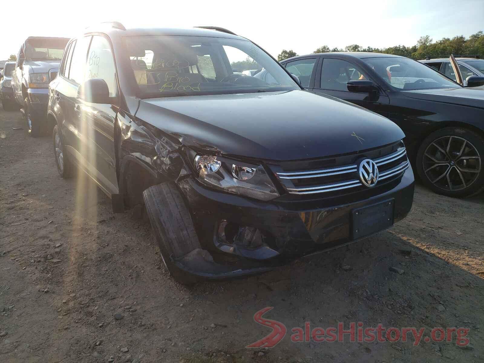 WVGBV7AX9HW510494 2017 VOLKSWAGEN TIGUAN