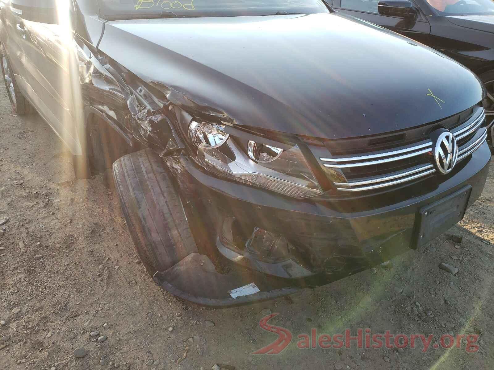 WVGBV7AX9HW510494 2017 VOLKSWAGEN TIGUAN