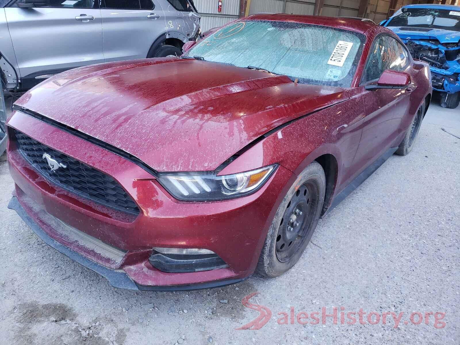 1FA6P8AM3H5305065 2017 FORD MUSTANG