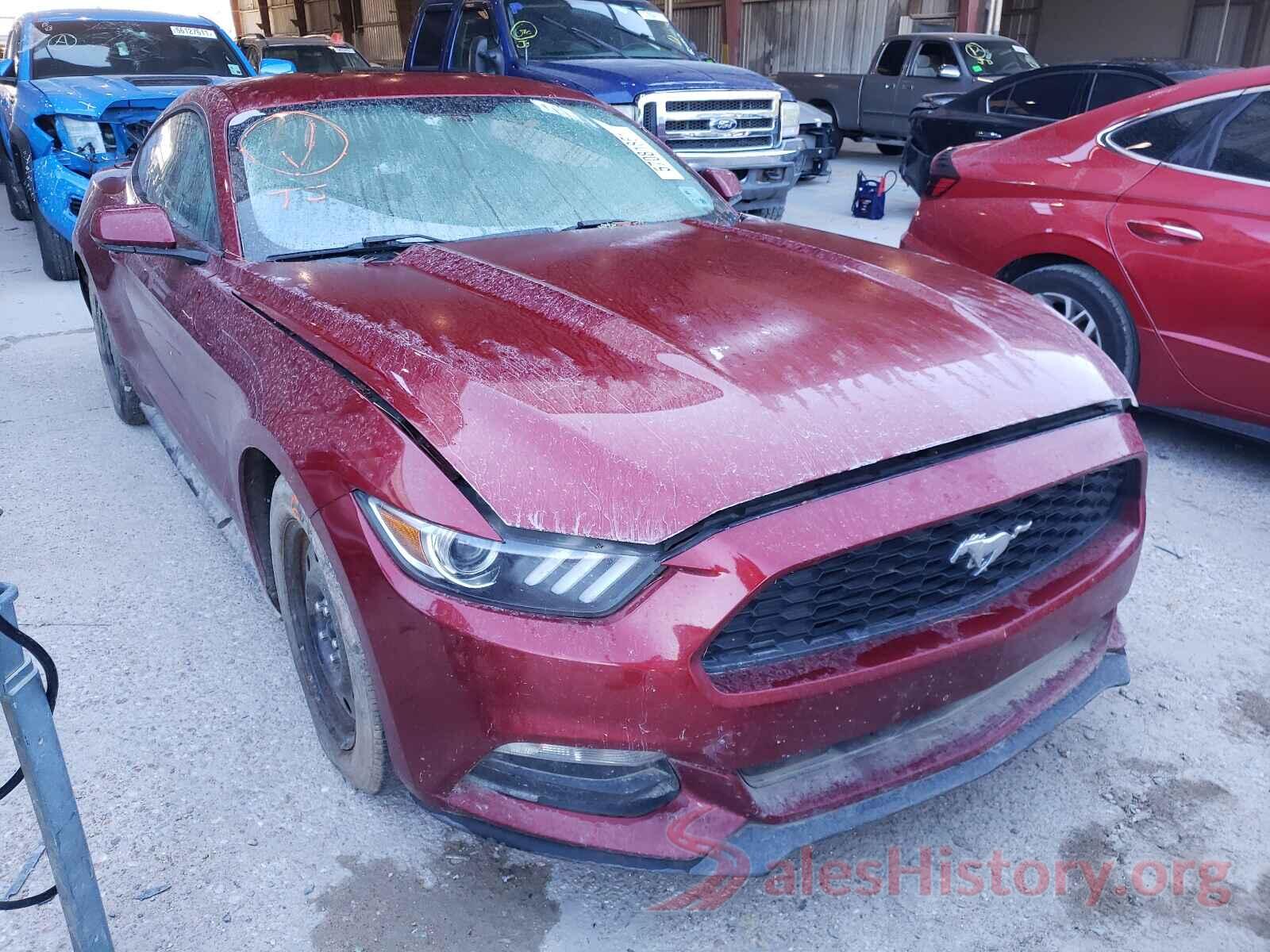 1FA6P8AM3H5305065 2017 FORD MUSTANG