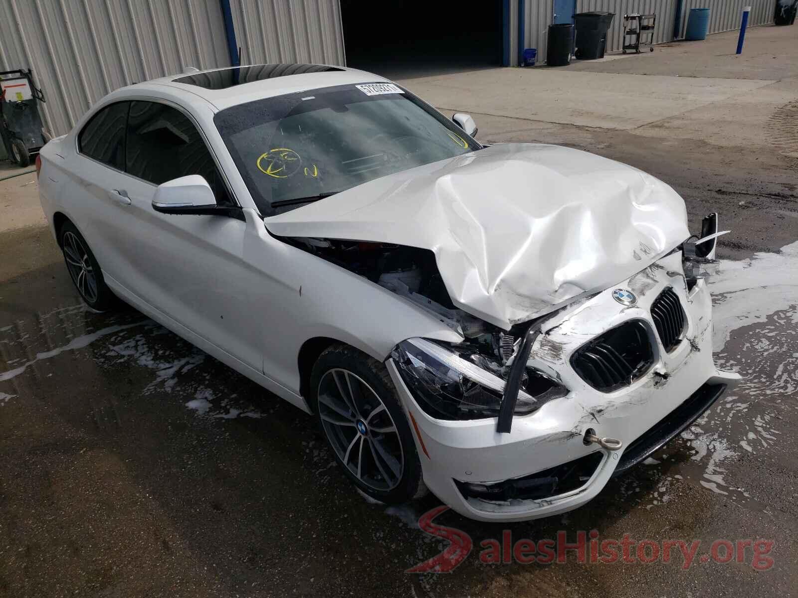 WBA2J1C54JVD09820 2018 BMW 2 SERIES