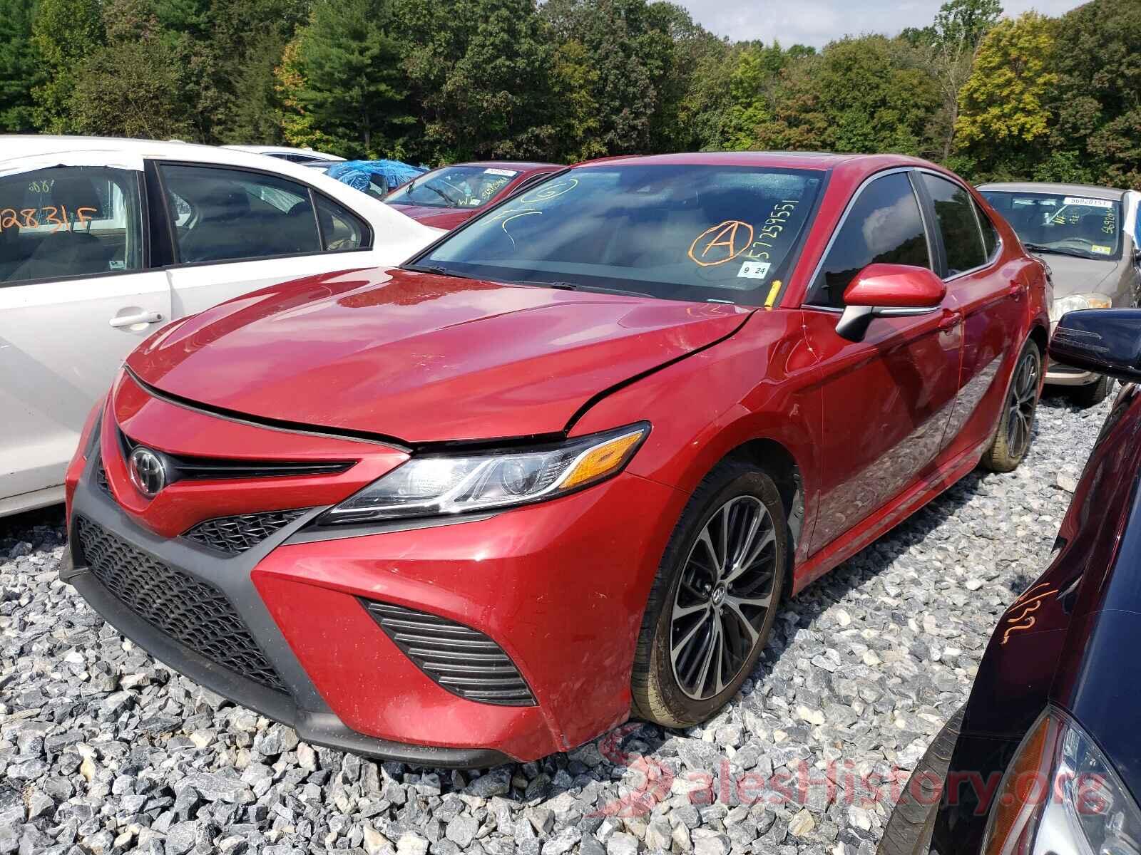 4T1B11HK5KU235647 2019 TOYOTA CAMRY