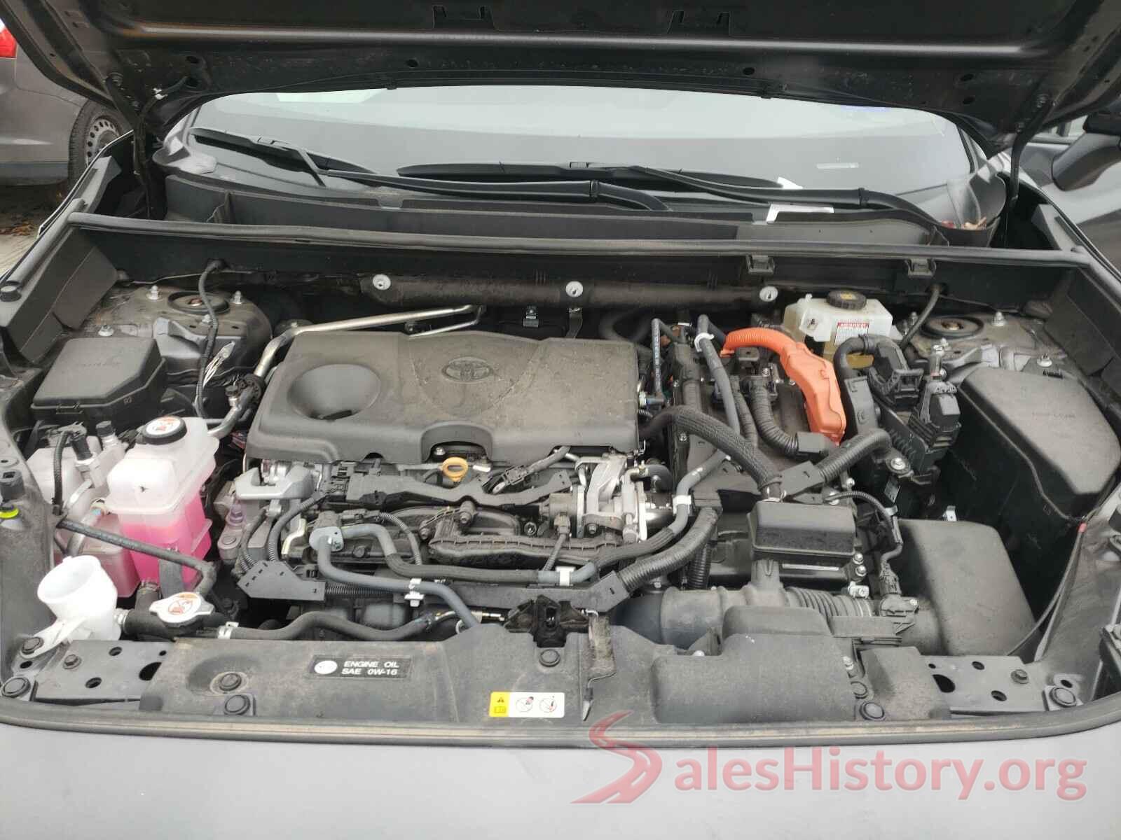 2T3EWRFV5KW020481 2019 TOYOTA RAV4