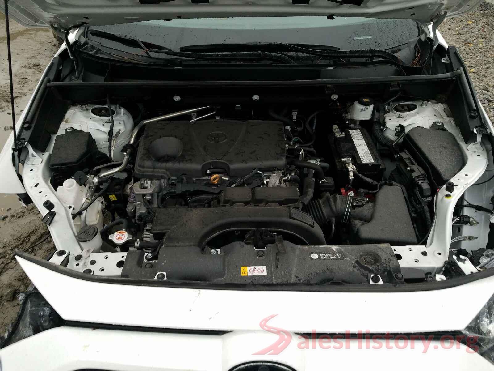 2T3W1RFV3KW007487 2019 TOYOTA RAV4