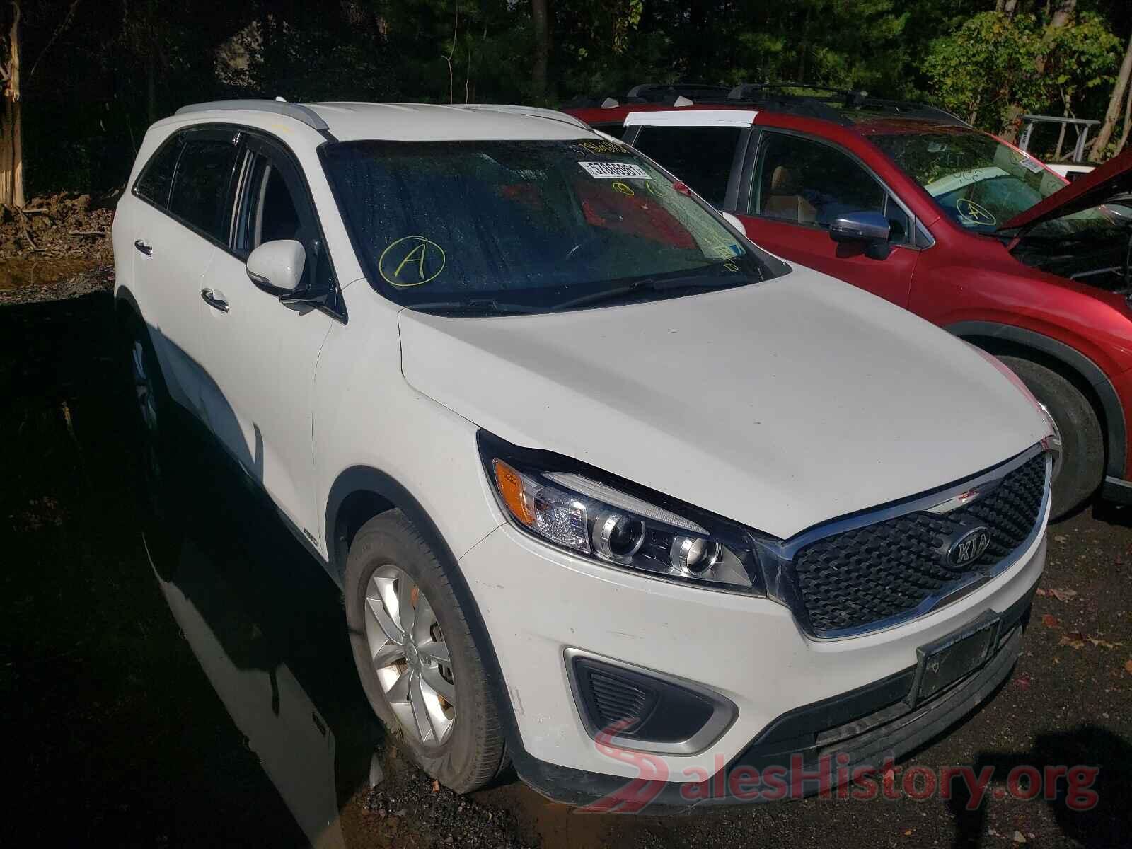 5XYPGDA38GG156124 2016 KIA SORENTO