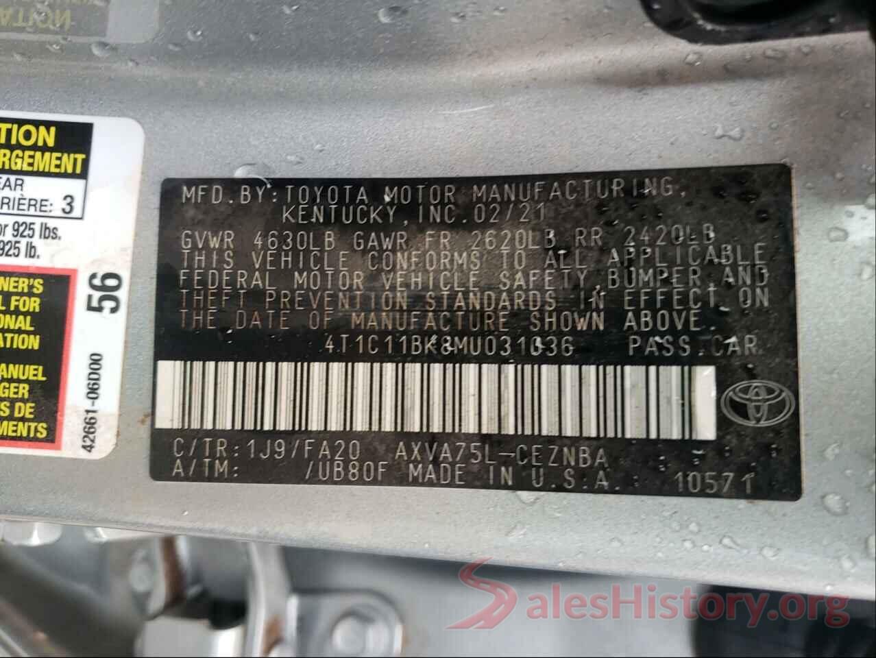 4T1C11BK8MU031036 2021 TOYOTA CAMRY