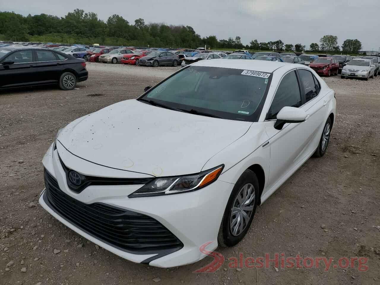 4T1B31HK7KU005571 2019 TOYOTA CAMRY